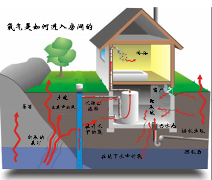 氡效果圖